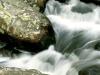 Mountain Stream, Great Smoky Mountains National  Park